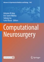 Computational Neurosurgery