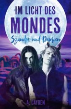 Im Licht des Mondes
