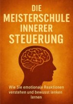 Die Meisterschule Innerer Steuerung