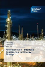 Heterojunction - Interface Engineering for Energy Storage