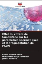 Effet du citrate de tamoxifène sur les paramètres spermatiques et la fragmentation de l'ADN