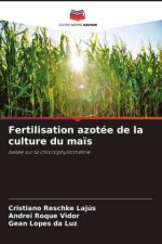 Fertilisation azotée de la culture du maïs