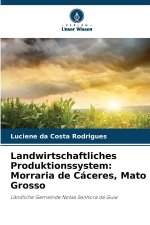 Landwirtschaftliches Produktionssystem: Morraria de Cáceres, Mato Grosso