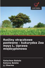 Rosliny straczkowe pastewne - kukurydza Zea mays L. Uprawa miedzyplonowa