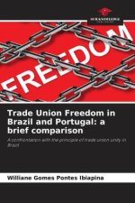 Trade Union Freedom in Brazil and Portugal: a brief comparison