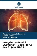 Integriertes Modul 