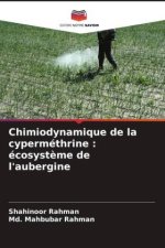 Chimiodynamique de la cyperméthrine : écosystème de l'aubergine