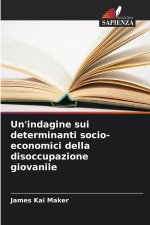 Un'indagine sui determinanti socio-economici della disoccupazione giovanile