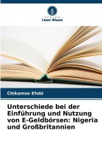 Unterschiede bei der Einführung und Nutzung von E-Geldbörsen: Nigeria und Großbritannien