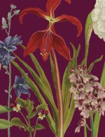 Petit carnet Jardin
