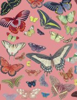 Petit carnet Papillons