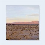 John Divola Isolated Houses /anglais