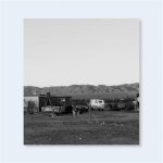 John Divola  Dogs Chasing My Car in the Desert /anglais