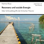 Resonanz und soziale Energie, 3 Audio-CD