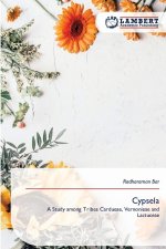 Cypsela