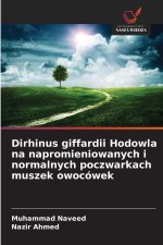 Dirhinus giffardii Hodowla na napromieniowanych i normalnych poczwarkach muszek owocówek