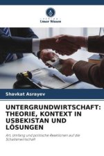 UNTERGRUNDWIRTSCHAFT: THEORIE, KONTEXT IN USBEKISTAN UND LÖSUNGEN