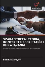 SZARA STREFA: TEORIA, KONTEKST UZBEKISTANU I ROZWIAZANIA