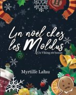 Un  Noël chez les Moldus : Un Viking en bonus