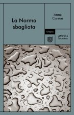 Norma sbagliata
