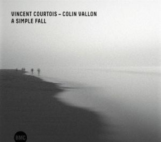 A simple fall