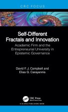 Self-Different Fractals and Innovation