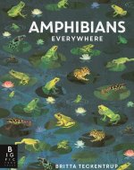 Amphibians Everywhere