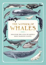The Wonder of Whales