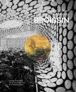 Broissin Architects: 25 Years in Silver