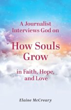 A Journalist Interviews God
