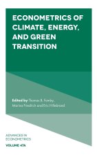 Econometrics of Climate, Energy, and Green Transition