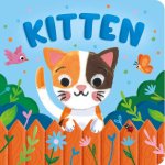 Kitten