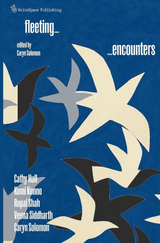 Fleeting Encounters
