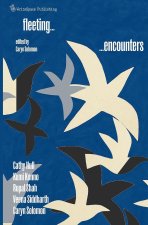 Fleeting Encounters