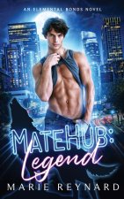 MateHub