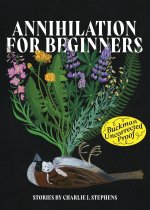 Annihilation for Beginners