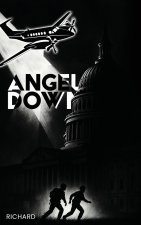 Angel Down