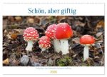 Schön, aber giftig. Giftpilze, die Sammler kennen sollten. (Wandkalender 2026 DIN A2 quer), CALVENDO Monatskalender
