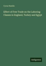 Effect of Free Trade on the Laboring Classes in England, Turkey and Egypt