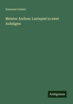 Meister Andrea: Lustspiel in zwei Aufzügen
