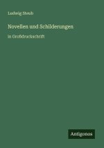Novellen und Schilderungen