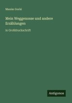 Mein Weggenosse und andere Erzählungen