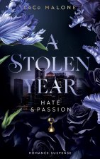 A Stolen Year