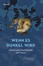 Wenn es dunkel wird