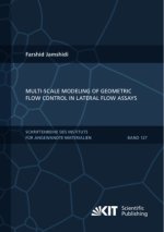 Multi-scale modeling of geometric flow control in lateral flow assays