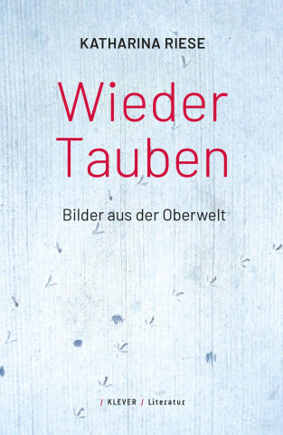Wieder Tauben
