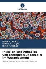 Invasion und Adhäsion von Enterococcus faecalis im Wurzelzement