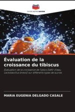Évaluation de la croissance du tibiscus
