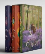 Rüzgarin Kizi Emily Kutulu Set 3 Kitap Takim