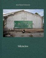 Juan Manuel Echavarría: Silencios